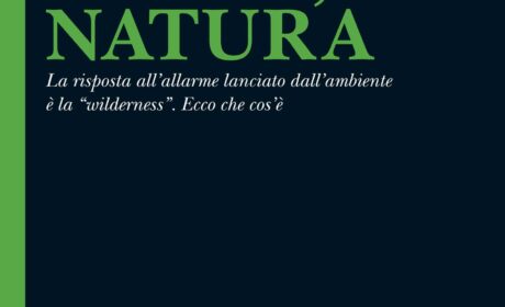 FORZA, NATURA